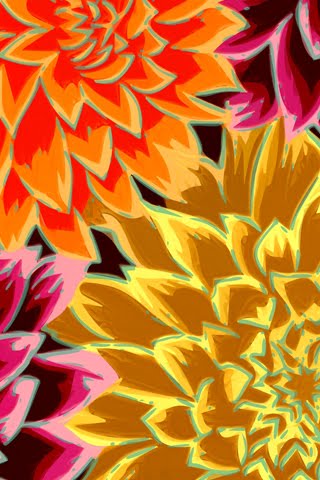 Download 600+ Wallpaper Bunga Iphone Terbaru Download 600+ Wallpaper Bunga Iphone Terbaru