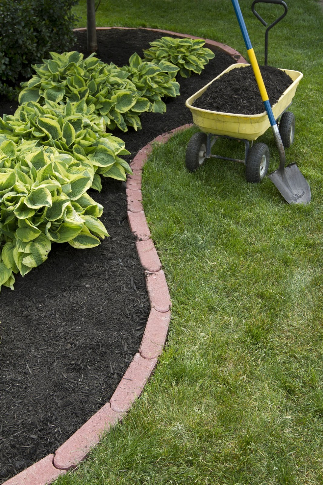 Landscape Maintenance GreenGrovesBCcom Landscape Maintenance GreenGrovesBCcom