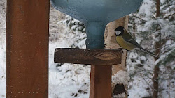 Cámara invernal de aves