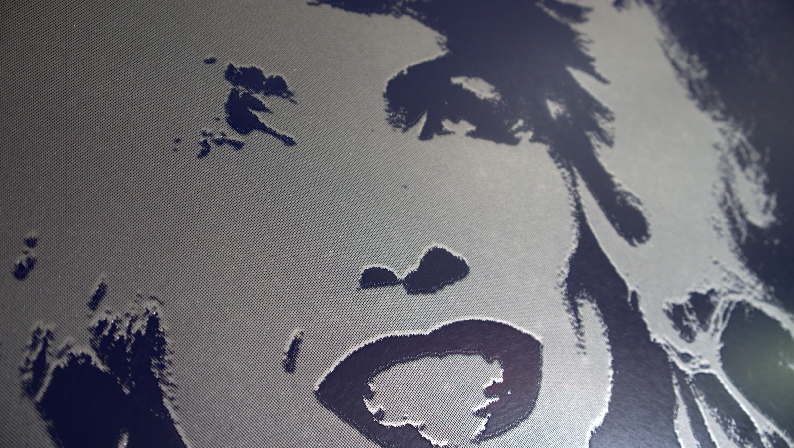 LewisHorn LLC Etched Metal Art Mick Rock / Deborah Harry