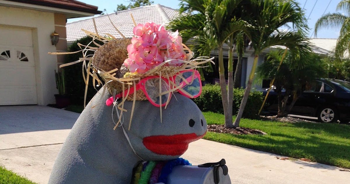 Our Nature Mailbox Monday Maui Manatee