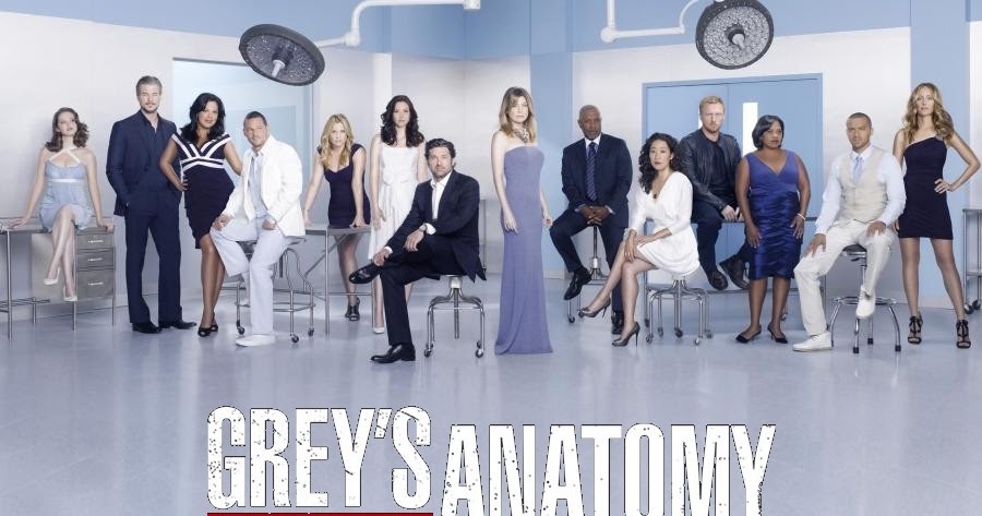 Resultado de imagem para grey's anatomy 13° temporada