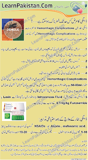 Essay on dengue