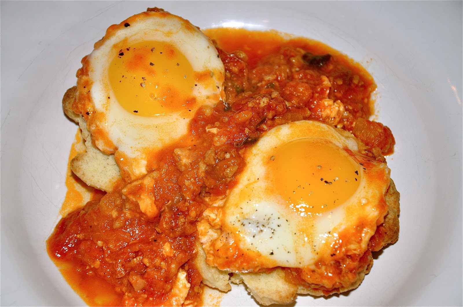 Mister Meatball Eggs poached in Red Sauce