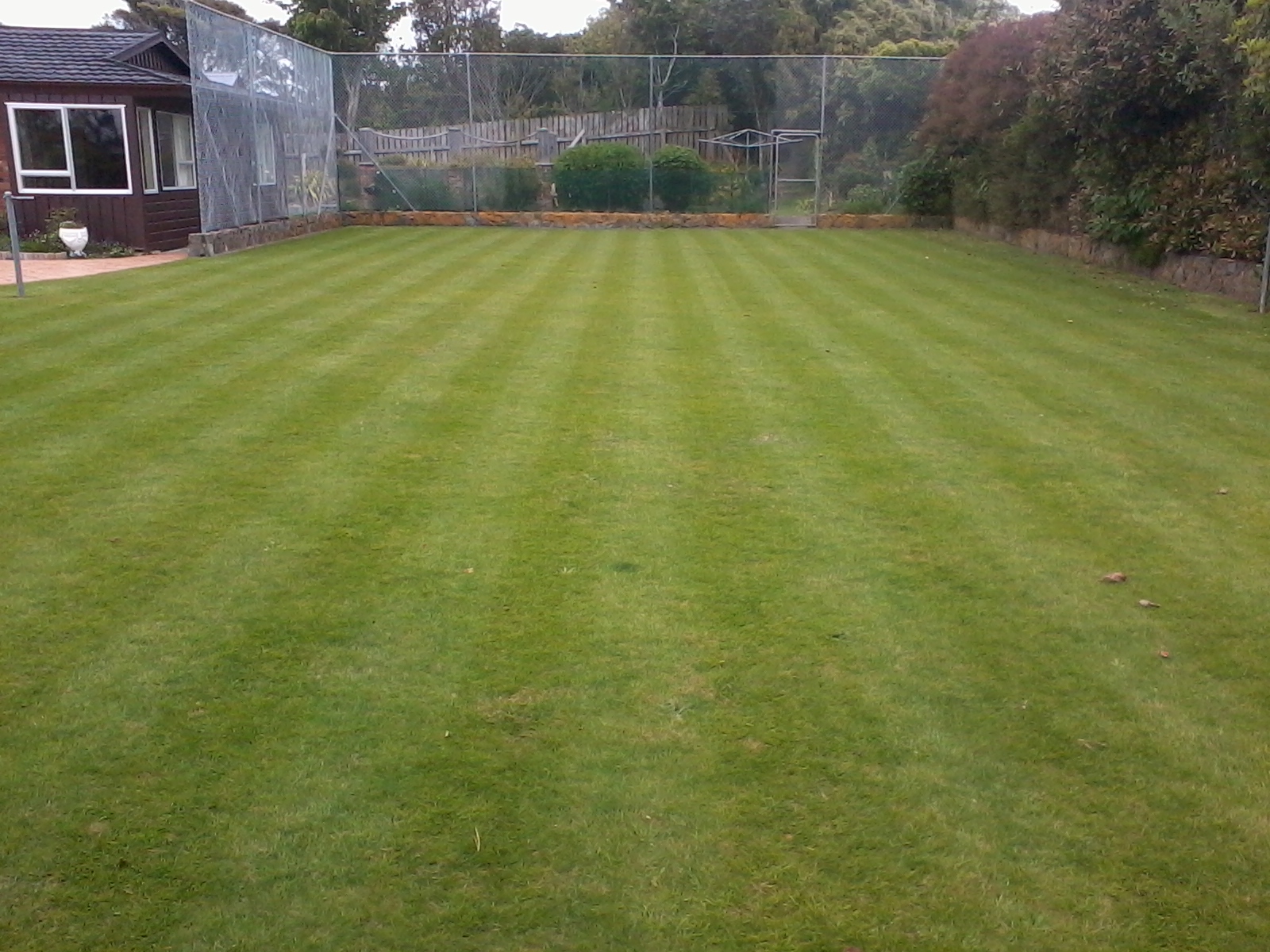 New Lawn