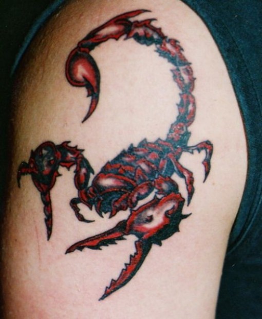  of tattoo artists who would willingly ink scorpion tattoo designs
