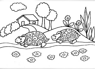 Desenhos Para Pintar Duas Tartarugas Brincando 