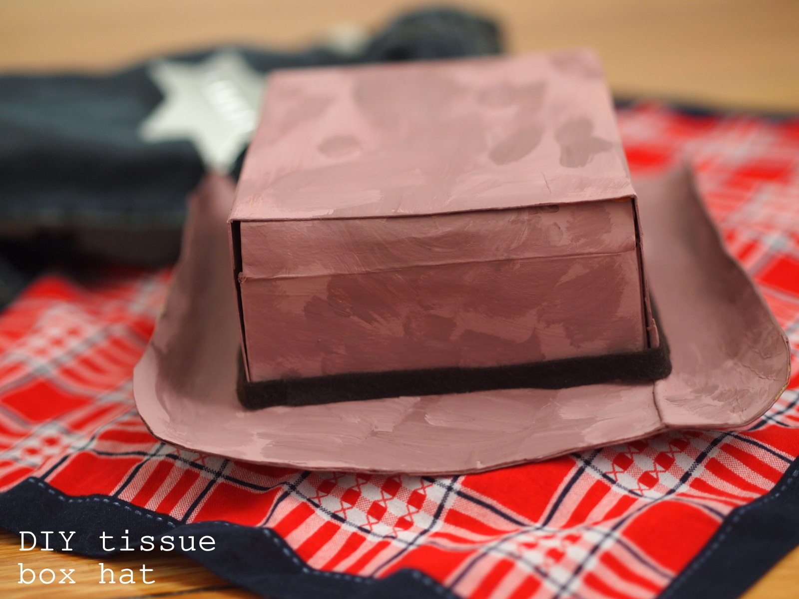 Cowboy gear part 2 Cardboard tissue box cowboy hat Pink Stripey Socks