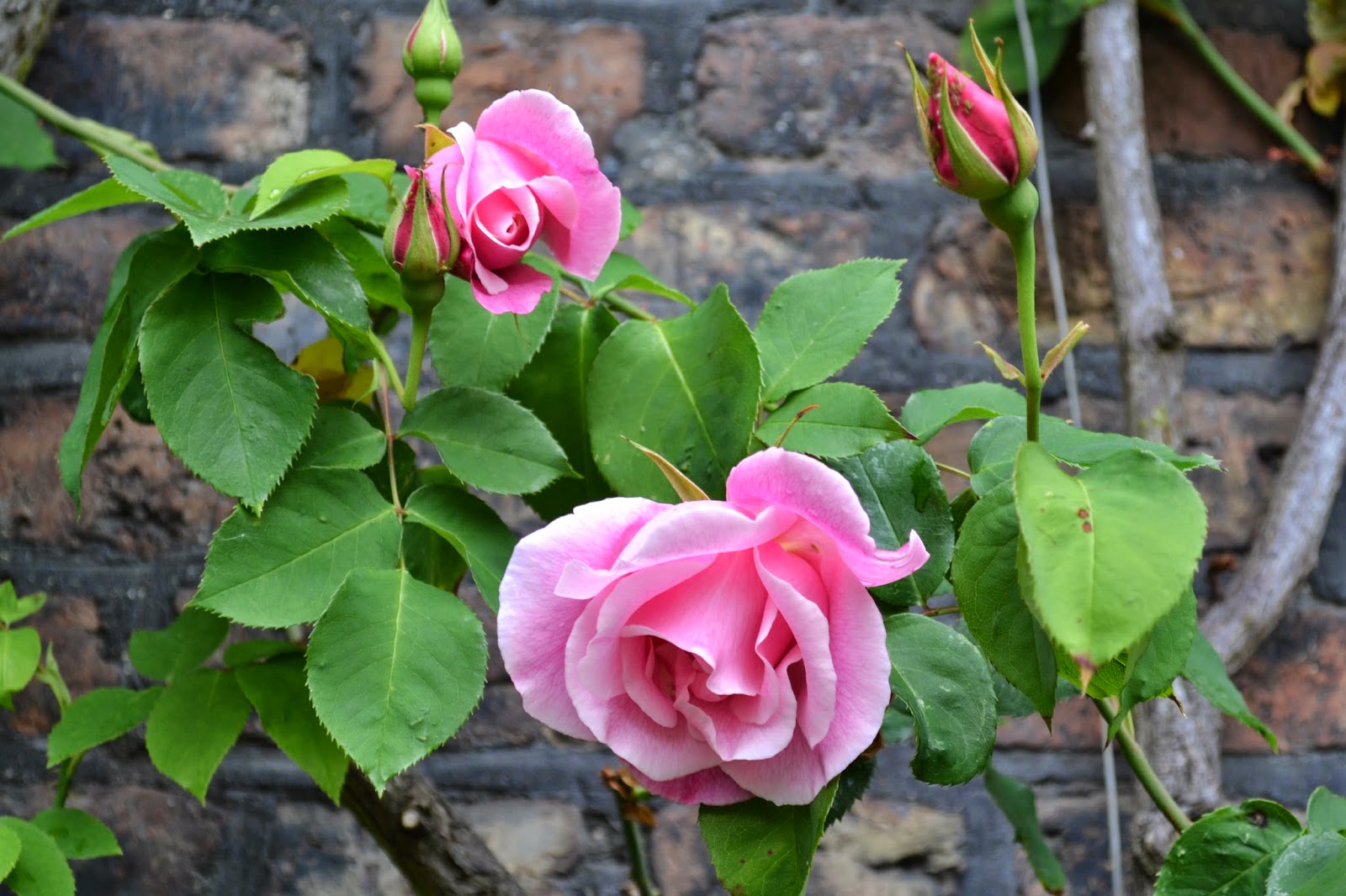 Cambridge, England