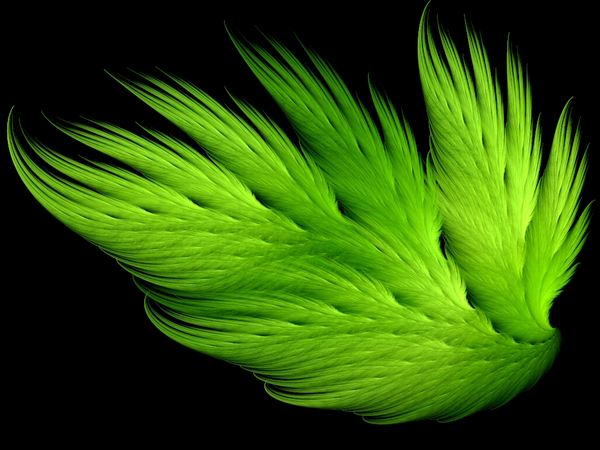 Wallpaper For Phone Green Colour