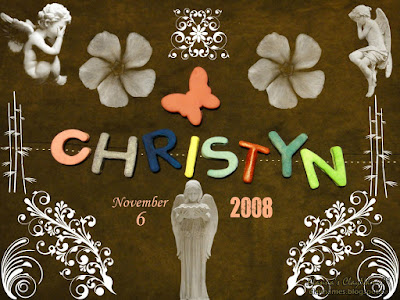 Christyn November 6 2008