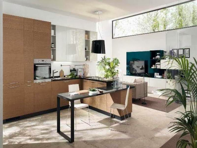 Contemporary Large Kitchens photo