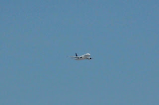 Air Namibia A320 Over Windhoek