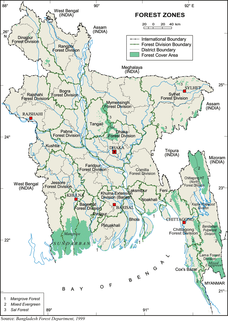 Bangladesh Forest