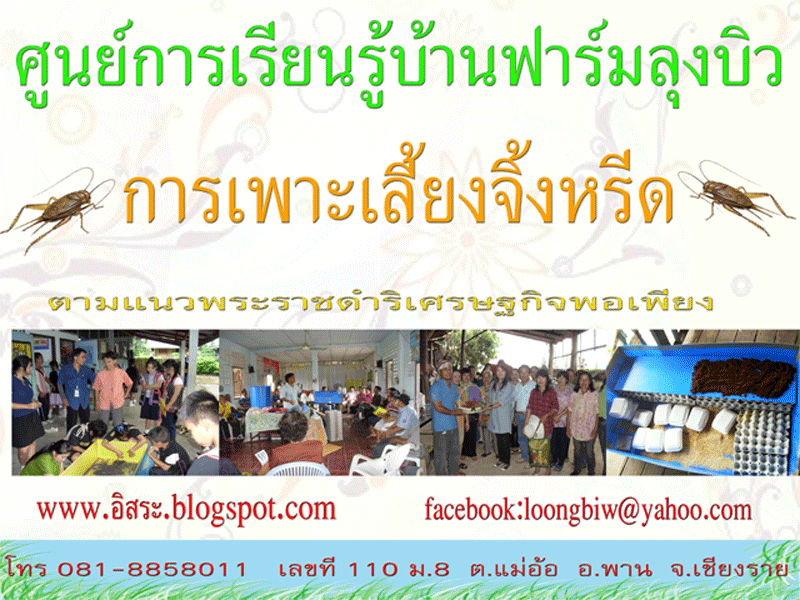 ศูนย์การเรียนรู้ การเพาะเลี้ยงจิ้งหรีดบ้านฟาร์มลุงบิว