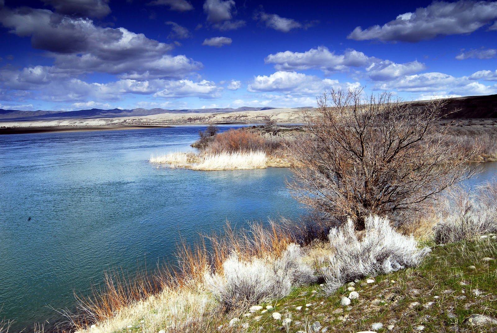 Day by Day Eminent Domain at White Bluffs