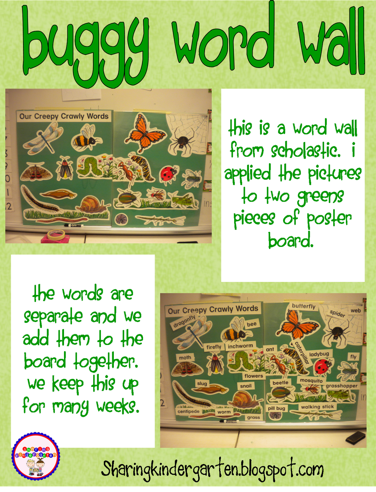 Buggy Word Wall and More!