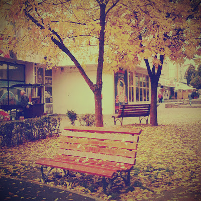 Autumn leaves on bench