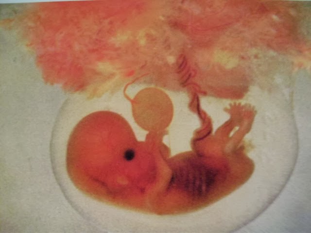 Tiny human in amniotic sac