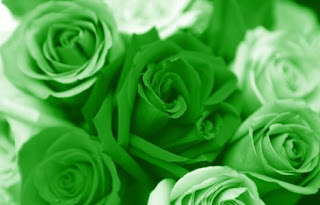 flower colour flower colour