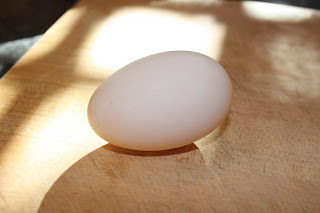 The duck egg (purchased at Ranch 99)