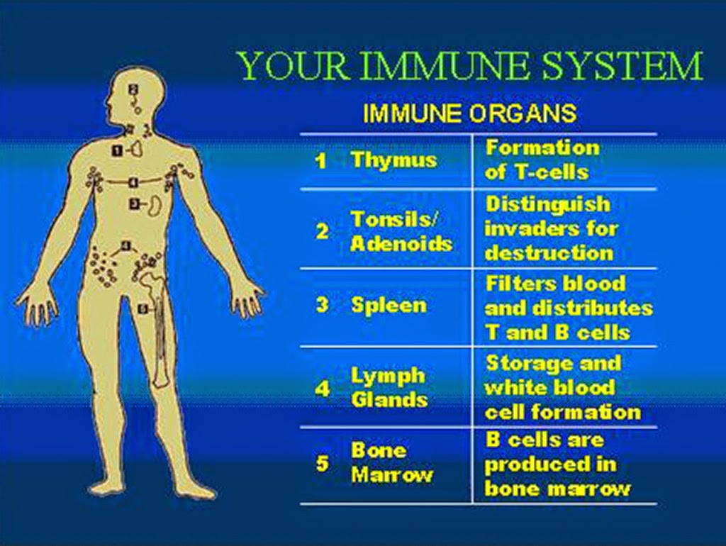 Lymphatic Diseases