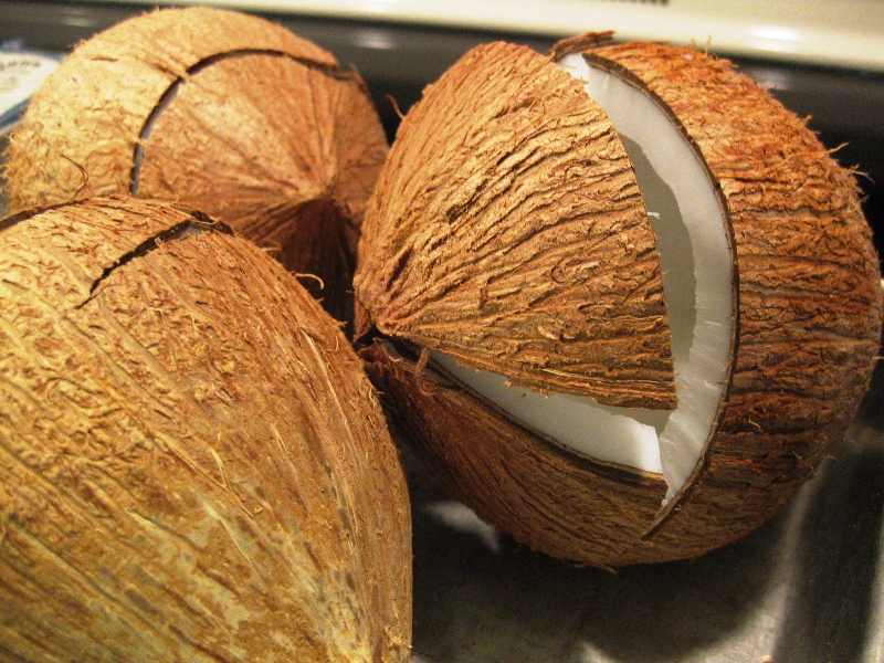 coconut husk as paper coconut husk as paper