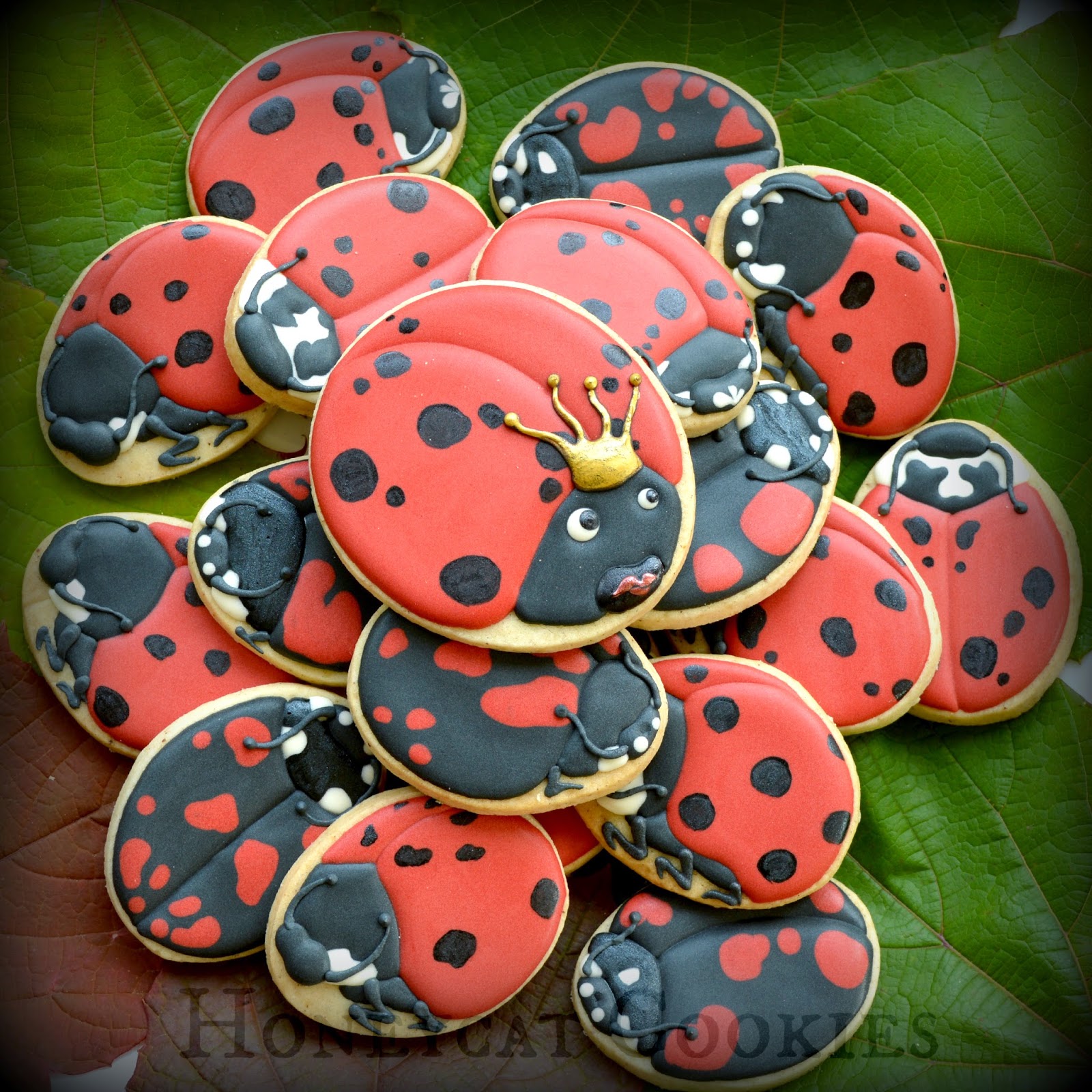 Honeycat Cookies Ladybird Ladybug, a Cookie Tutorial and Video!