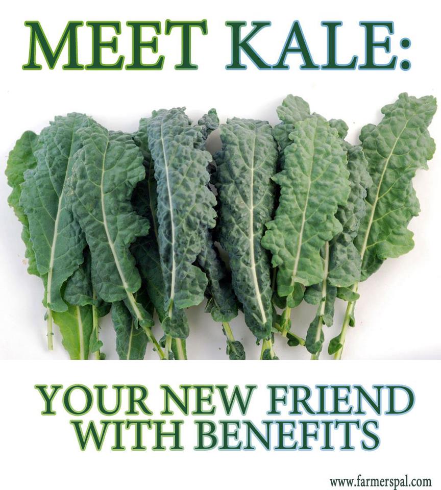 Ten Benefits of Eating Kale Caravan