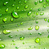 Green Pearls