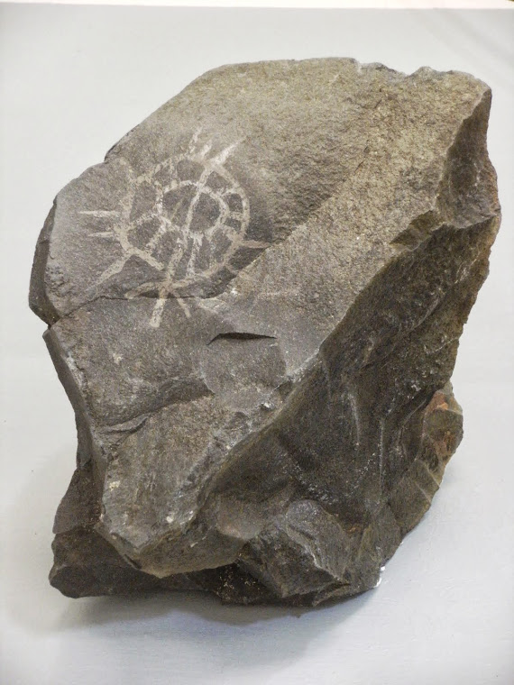 Re-claimed Petroglyph, from Nich'i-Wana