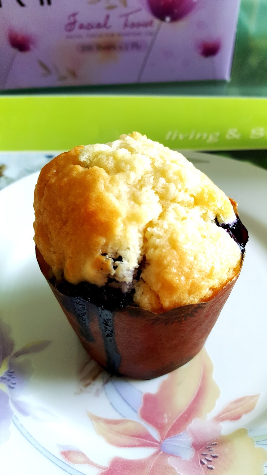 Catherine's Cooking cathteops Blueberry Yogurt Muffins