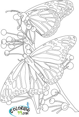 Butterfly and Flower Coloring Pages