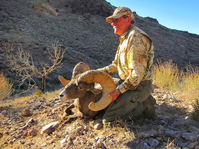 Arizona+Super+Raffle+Desert+Bighorn+Sheep+Hunt++Photo+Monster+ram+with+Colburn+and+Scott+Outfitters+10.JPG