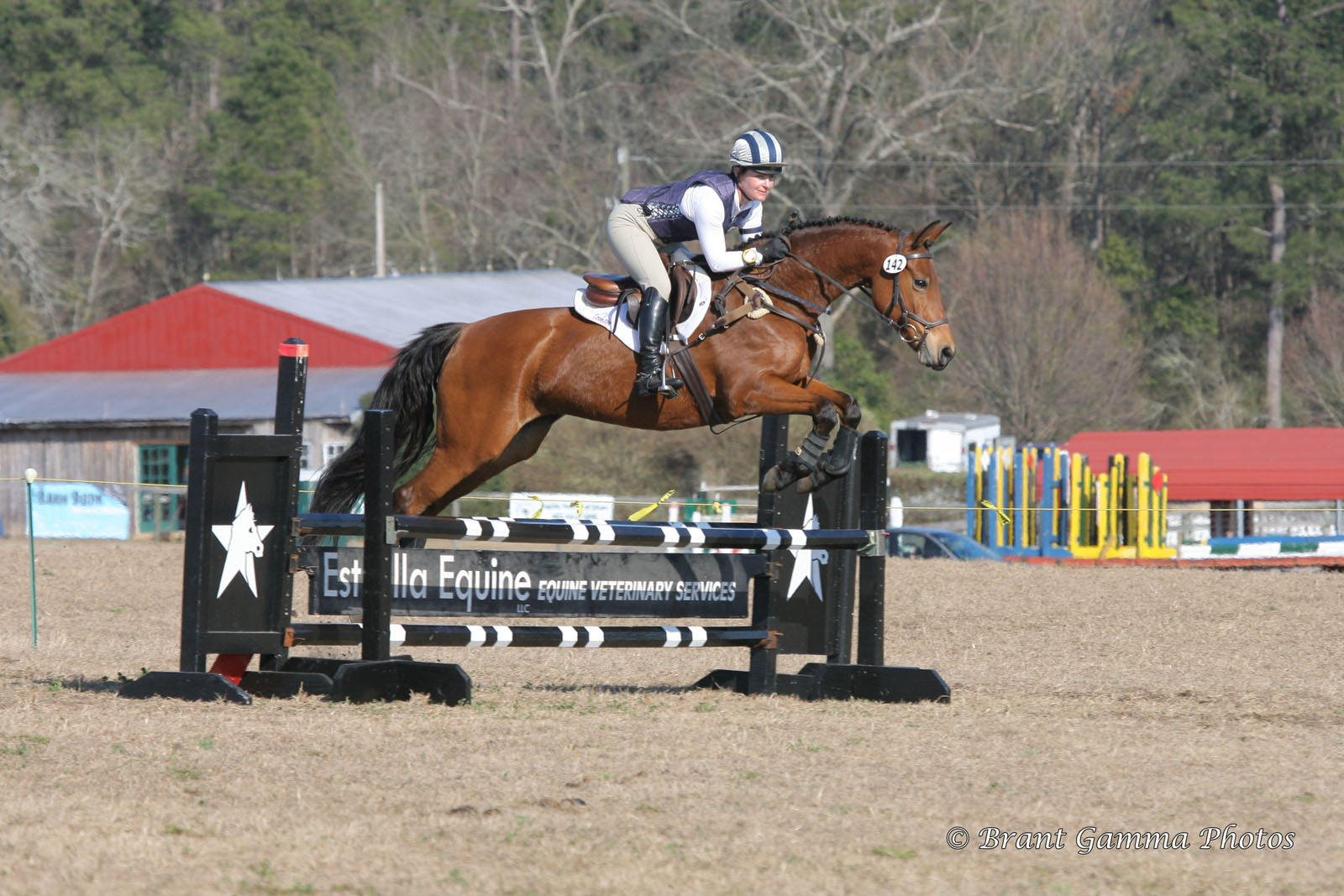 MK EQUESTRIAN MK Equestrian... the horses that make us smile )