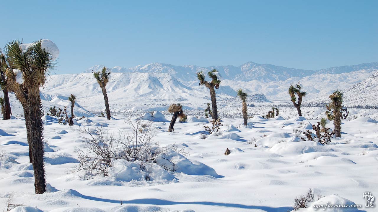 Snow In Phoenix 2025 Jemima Grethel