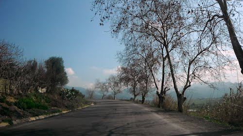 اروع صور جيجل على الاطلاق 75835454.jpg
