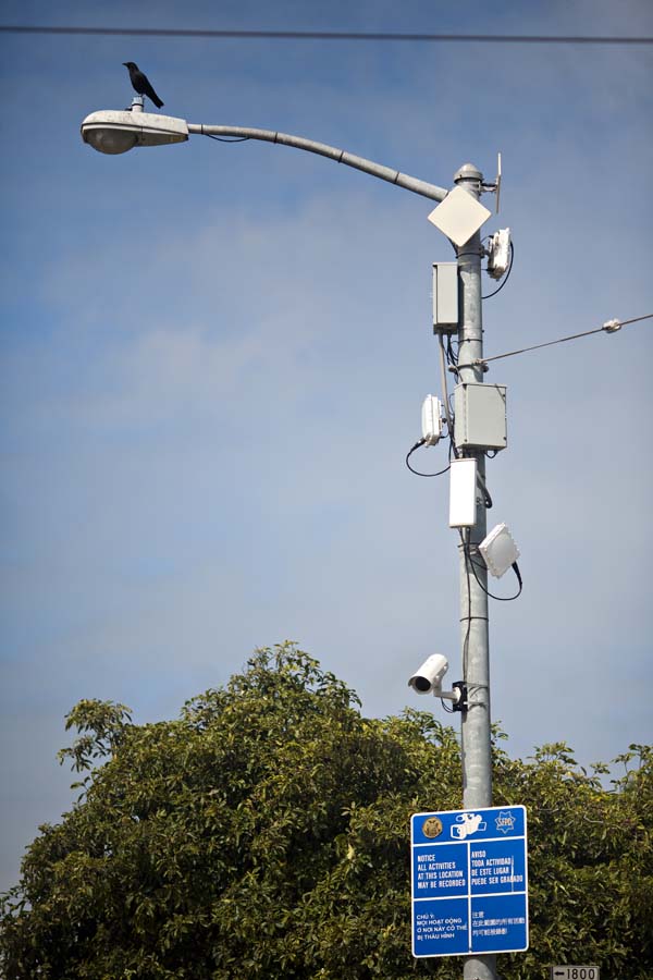 Cedar Posts and Barbed Wire Fences CMPD's Shot Spotter Goes Live in Uptown
