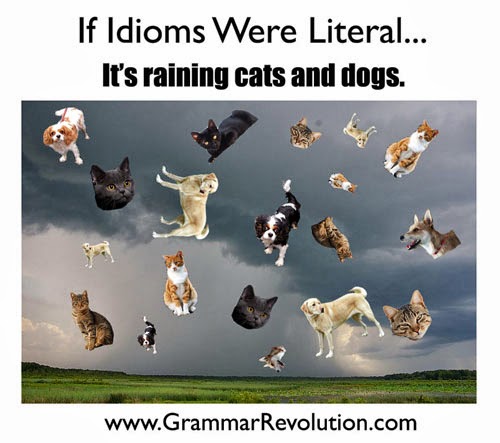 Raining Cats And Dogs Sentence Raining Cats And Dogs Sentence