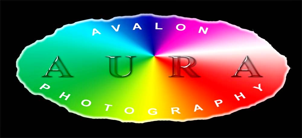 Avalon Aura Photography