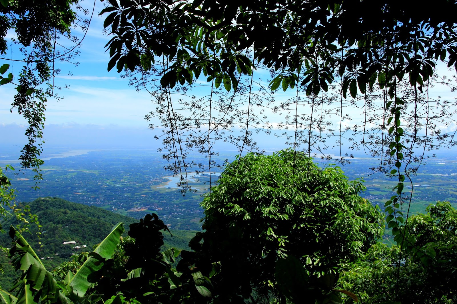 Image result for vuon quoc gia ba vi\