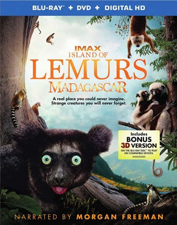Island of Lemurs: Madagascar 1080p Latino