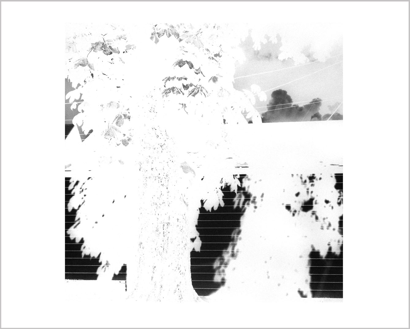 Steven D. Foster Photographs The Departing Landscape website