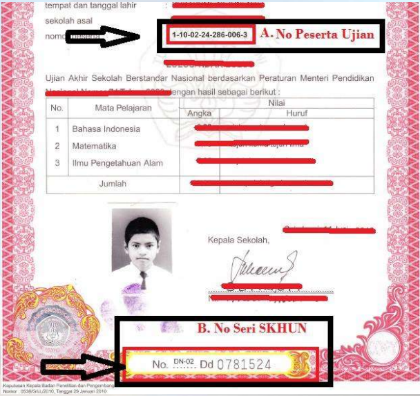 Cara Pengisian No SKHUN di DAPODIKDAS 2013