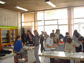 LABORATORIOS QUIMICA LICEO DAU