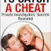 How To Catch A Cheat - Free Kindle Non-Fiction 