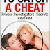 How To Catch A Cheat - Free Kindle Non-Fiction