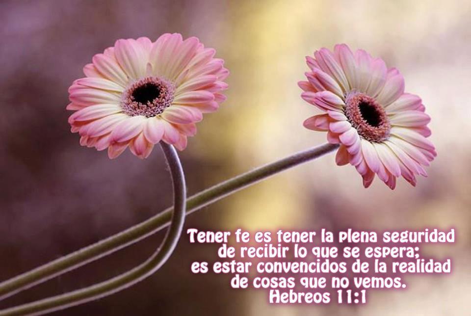 Tarjetas Gratis: TARJETAS DE AMISTAD Tarjetas Gratis: TARJETAS DE AMISTAD