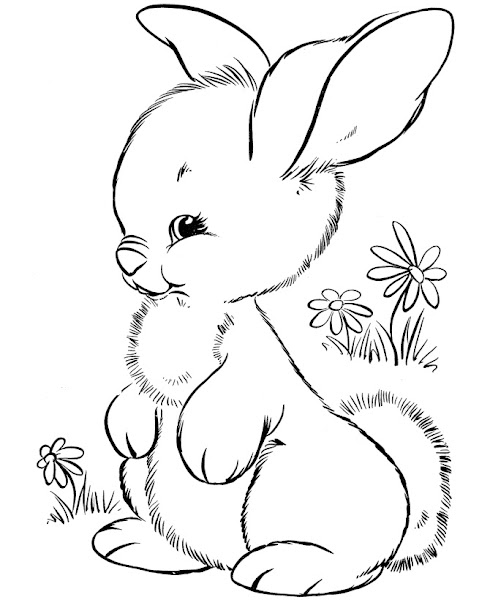 Easter Bunnies Coloring Pages