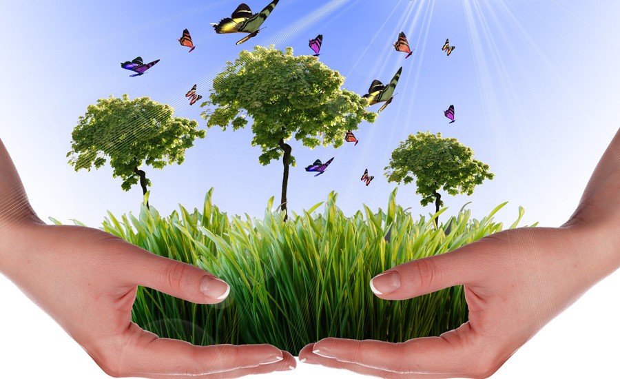 David de la Cruz López: DÍA MUNDIAL MEDIO AMBIENTE: SEMANA DE ACTIVIDADES